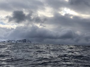 85FEDC75-5447-430A-A151-46839E96753D.jpeg 85FEDC75-5447-430A-A151-46839E96753D.jpeg