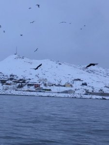 49C64603-298A-4EB6-8BD4-2B8F88905686.jpeg 49C64603-298A-4EB6-8BD4-2B8F88905686.jpeg