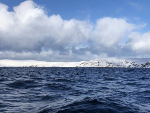 9C75D4B5-5F29-40B8-8335-66D722AA6525.jpeg 9C75D4B5-5F29-40B8-8335-66D722AA6525.jpeg