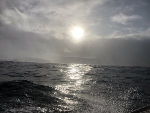 EB6214EB-9E56-46C7-A74F-FC4EAF6EF8C9.jpeg EB6214EB-9E56-46C7-A74F-FC4EAF6EF8C9.jpeg