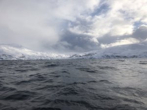 7306A62C-F3AE-414D-8A6E-6C19DC5E38D8.jpeg 7306A62C-F3AE-414D-8A6E-6C19DC5E38D8.jpeg