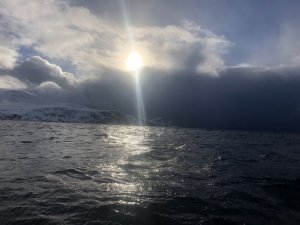 9D3B588F-6743-49AB-8A23-D6DF97257935.jpeg 9D3B588F-6743-49AB-8A23-D6DF97257935.jpeg