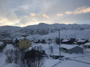 17D373B6-BD14-4E67-9F4D-0463407199FD.jpeg 17D373B6-BD14-4E67-9F4D-0463407199FD.jpeg