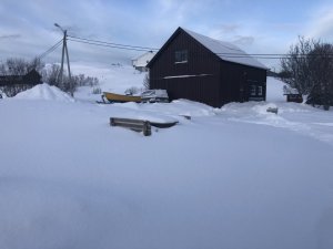 FF802467-9DF2-44BC-9B62-D9A9CE041CD2.jpeg FF802467-9DF2-44BC-9B62-D9A9CE041CD2.jpeg