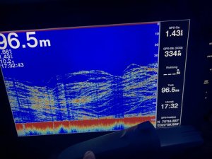 994C0521-C255-441C-AC78-7FACA2513980.jpeg 994C0521-C255-441C-AC78-7FACA2513980.jpeg