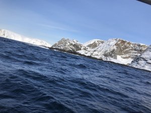 AEAF10D5-1A79-4443-B00A-7D9950F9C7D5.jpeg AEAF10D5-1A79-4443-B00A-7D9950F9C7D5.jpeg