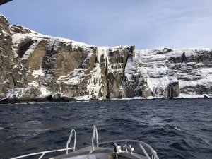 93734CA6-B885-4CBD-BB76-D094B43BABFD.jpeg 93734CA6-B885-4CBD-BB76-D094B43BABFD.jpeg