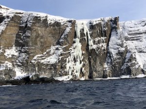 A935D69D-FAD7-458F-8FFB-4FC68C3638EF.jpeg A935D69D-FAD7-458F-8FFB-4FC68C3638EF.jpeg