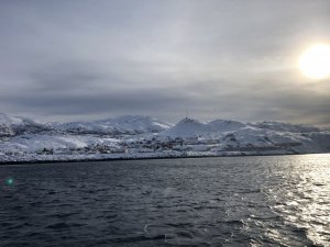 0E851F0B-0BA1-4A3F-9EAA-96B3C30525E2.jpeg 0E851F0B-0BA1-4A3F-9EAA-96B3C30525E2.jpeg