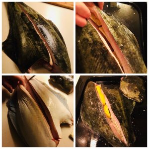 4FC1B563-AF2B-40D2-9495-ED09F25EA7D9.jpeg 4FC1B563-AF2B-40D2-9495-ED09F25EA7D9.jpeg