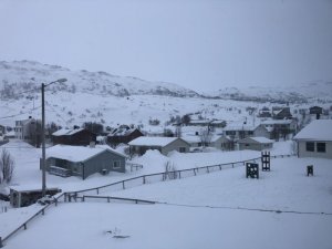 13B71B1F-09B7-48EF-9DE0-3DEF9057206E.jpeg 13B71B1F-09B7-48EF-9DE0-3DEF9057206E.jpeg