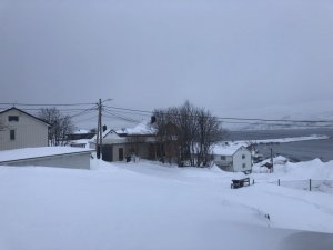 175FF15D-D34E-4258-A646-619F599B4363.jpeg 175FF15D-D34E-4258-A646-619F599B4363.jpeg