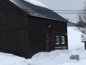 421A4DBC-45C0-4715-B64E-CDE95D4FFE91.jpeg 421A4DBC-45C0-4715-B64E-CDE95D4FFE91.jpeg