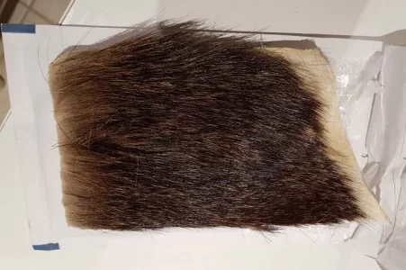 Mufflon_20190313_174415.webp Mufflon_20190313_174415.webp