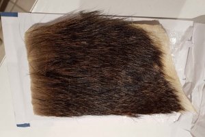 Mufflon_20190313_174415.jpg Mufflon_20190313_174415.jpg