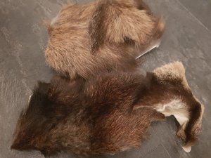 20190314_183026.jpg 20190314_183026.jpg