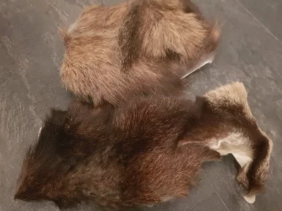 20190314_183026.webp 20190314_183026.webp