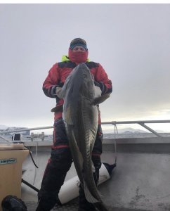 9EC99BCC-6CA6-42E3-8EF4-F65F19A86661.jpeg 9EC99BCC-6CA6-42E3-8EF4-F65F19A86661.jpeg