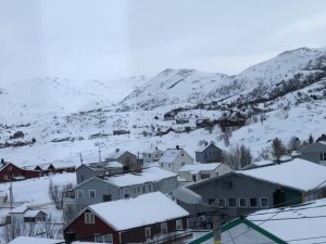 3D61C204-5971-430D-AAF6-49F201D163C2.jpeg 3D61C204-5971-430D-AAF6-49F201D163C2.jpeg