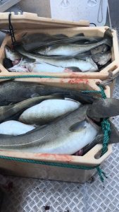 806E99A3-178F-44F7-B5BD-487E64082A13.jpeg 806E99A3-178F-44F7-B5BD-487E64082A13.jpeg