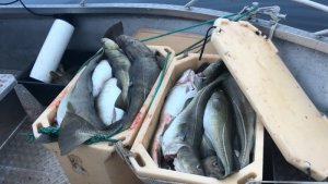 FC33AFCF-F451-41B7-B354-59A8FD3A93C2.jpeg FC33AFCF-F451-41B7-B354-59A8FD3A93C2.jpeg