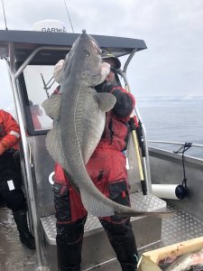 F13C8CA6-10E3-49E9-8DFF-CB6C79732527.jpeg F13C8CA6-10E3-49E9-8DFF-CB6C79732527.jpeg