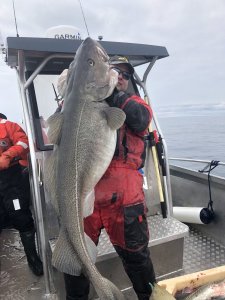 34AD1559-ADDA-422B-B68B-9E8FDAB8CDF4.jpeg 34AD1559-ADDA-422B-B68B-9E8FDAB8CDF4.jpeg