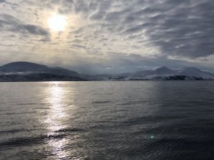 2614E348-66D3-4E60-91F4-21E4913B760B.jpeg 2614E348-66D3-4E60-91F4-21E4913B760B.jpeg