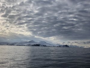 9CDE414A-A654-4A9A-8FEF-559409E13206.jpeg 9CDE414A-A654-4A9A-8FEF-559409E13206.jpeg