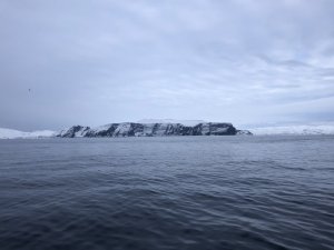 2033F977-FB75-412E-BD66-B820A7F808FF.jpeg 2033F977-FB75-412E-BD66-B820A7F808FF.jpeg