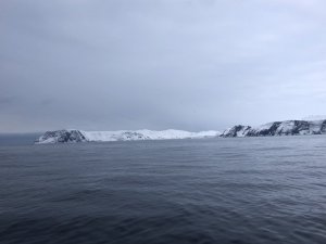 8C5963C7-222E-43FE-873A-7E9A2E4DE269.jpeg 8C5963C7-222E-43FE-873A-7E9A2E4DE269.jpeg