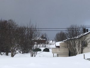 4F03A963-201C-4A05-AA8B-5B30D796DAEB.jpeg 4F03A963-201C-4A05-AA8B-5B30D796DAEB.jpeg