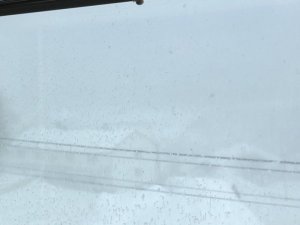 354DDC59-2466-43A9-BBE6-D70F3F761D49.jpeg 354DDC59-2466-43A9-BBE6-D70F3F761D49.jpeg