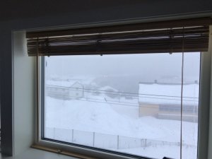 E67603FD-E4FE-4F86-B55F-594466F18D48.jpeg E67603FD-E4FE-4F86-B55F-594466F18D48.jpeg