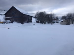 2DB3864D-2F6F-45C1-AB94-268AC885815E.jpeg 2DB3864D-2F6F-45C1-AB94-268AC885815E.jpeg