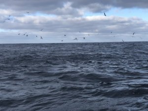 D344BC1B-C7C7-4154-8734-D4B356C31E88.jpeg D344BC1B-C7C7-4154-8734-D4B356C31E88.jpeg