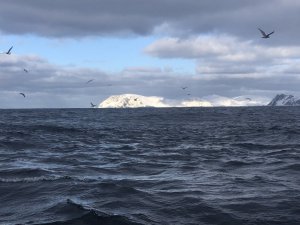 954619CA-6D3E-4E53-9191-AEF7C12A3B1D.jpeg 954619CA-6D3E-4E53-9191-AEF7C12A3B1D.jpeg