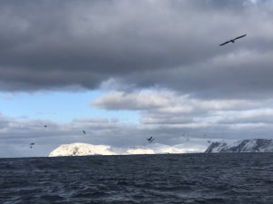 ECD6885E-25AC-4AF3-BF9E-D3B5BF9B668E.jpeg ECD6885E-25AC-4AF3-BF9E-D3B5BF9B668E.jpeg