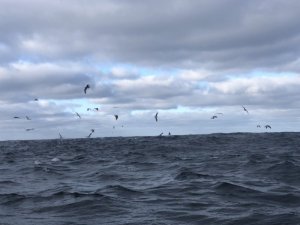 8EB0979C-9C94-45D7-81A7-22AC821DF2FC.jpeg 8EB0979C-9C94-45D7-81A7-22AC821DF2FC.jpeg