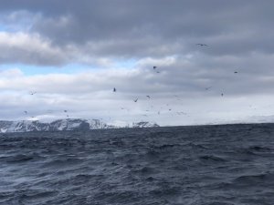 D24B5535-8CFD-4D80-8335-1362B9FD45FC.jpeg D24B5535-8CFD-4D80-8335-1362B9FD45FC.jpeg