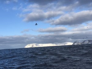 429325C1-F037-401C-BD1D-5205AB1D28E5.jpeg 429325C1-F037-401C-BD1D-5205AB1D28E5.jpeg