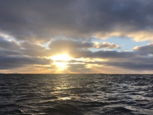 CC77AF4A-42FD-4399-8C67-71EB9A1A5D63.jpeg CC77AF4A-42FD-4399-8C67-71EB9A1A5D63.jpeg