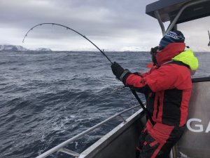 8AE697F3-C247-488F-B8A5-5E4F0A9EDC0D.jpeg 8AE697F3-C247-488F-B8A5-5E4F0A9EDC0D.jpeg