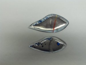 Glaspilker Sonderedition 003.jpg