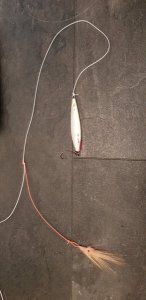 20190323_164611.jpg 20190323_164611.jpg