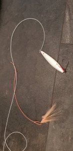 20190323_165109.jpg 20190323_165109.jpg