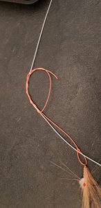 20190323_165023.jpg 20190323_165023.jpg