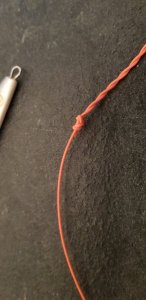 20190323_170000.jpg 20190323_170000.jpg