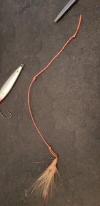 20190323_170004.jpg 20190323_170004.jpg