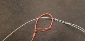 20190323_170144.jpg 20190323_170144.jpg